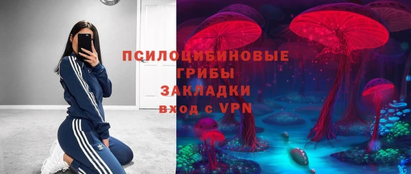 дживик Армянск