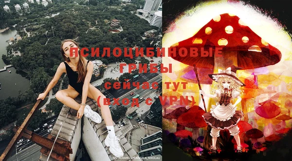 дурь Аркадак