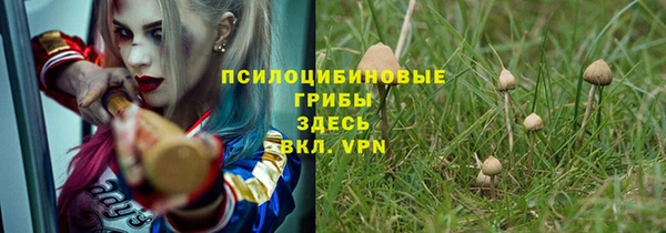 дурь Аркадак